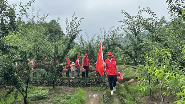 庆七一 · 爱心采摘消费助农丨群升集团党委组织开展主题党日活动